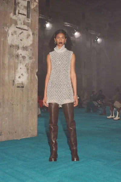 Look 33